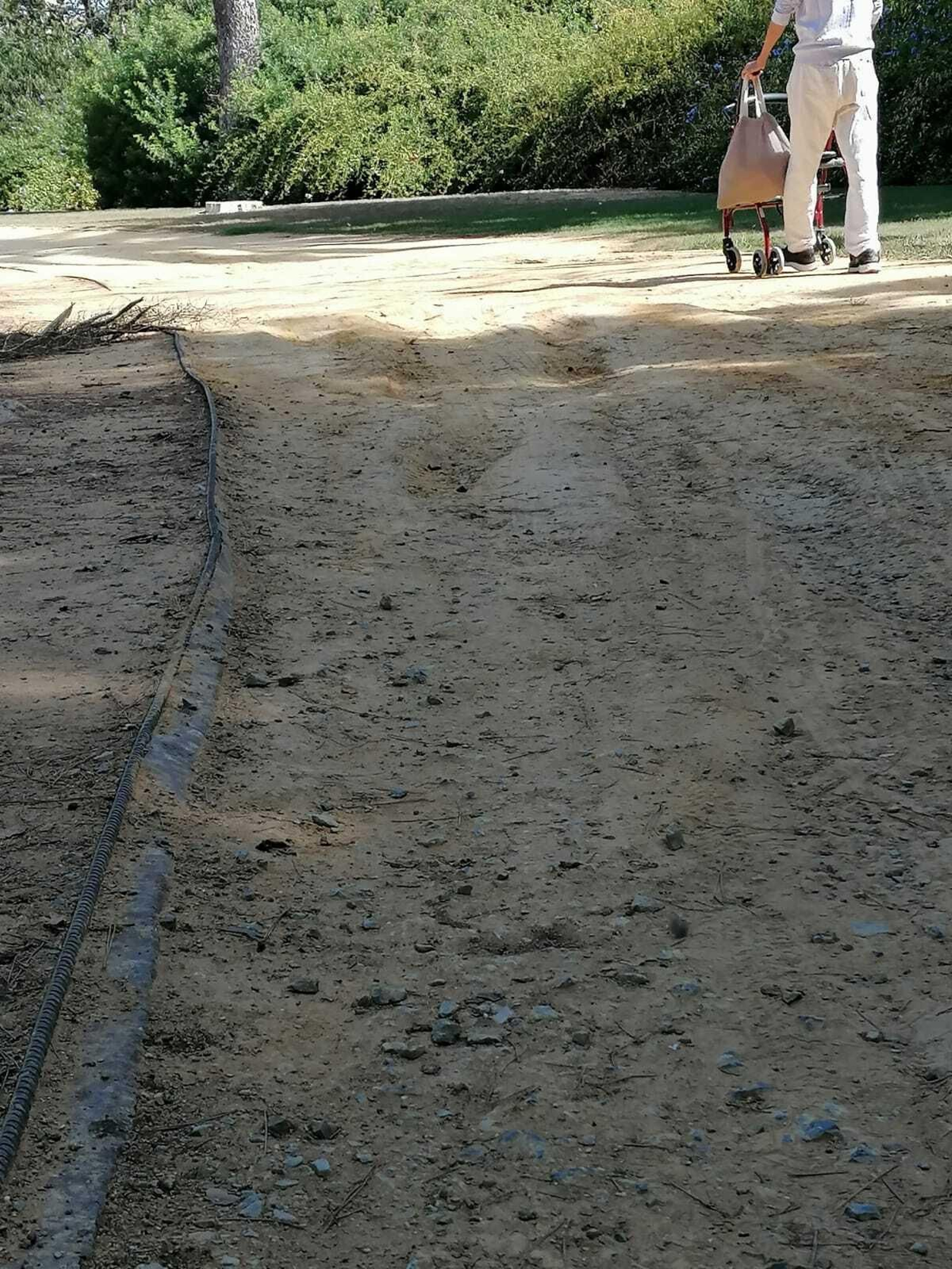 Mal estado del Jardín Escénico y el parque de La Plata