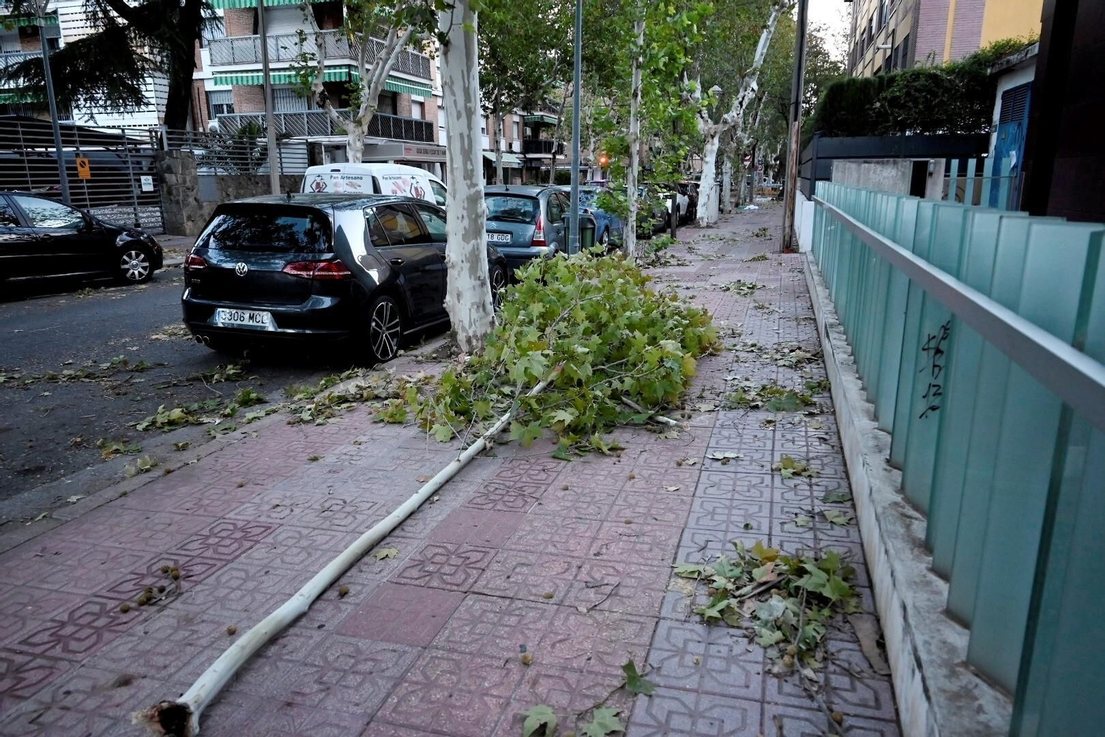 Los daños causados por la borrasca Bernard en Córdoba, en imágenes