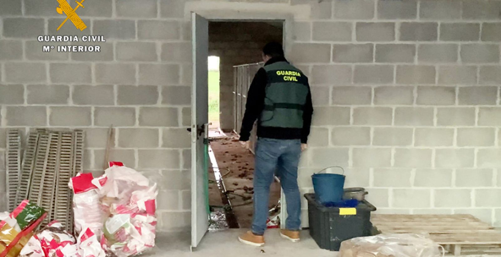 Dos detenidos por la muerte de 18 perros abandonados en una nave en Cantabria