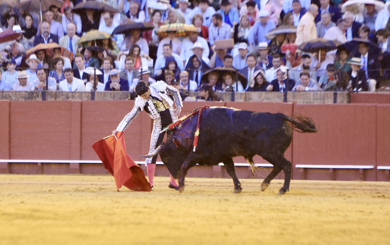 Las mejores imágenes de la corrida de toros de Juan Ortega, Roca Rey y Pablo Aguado