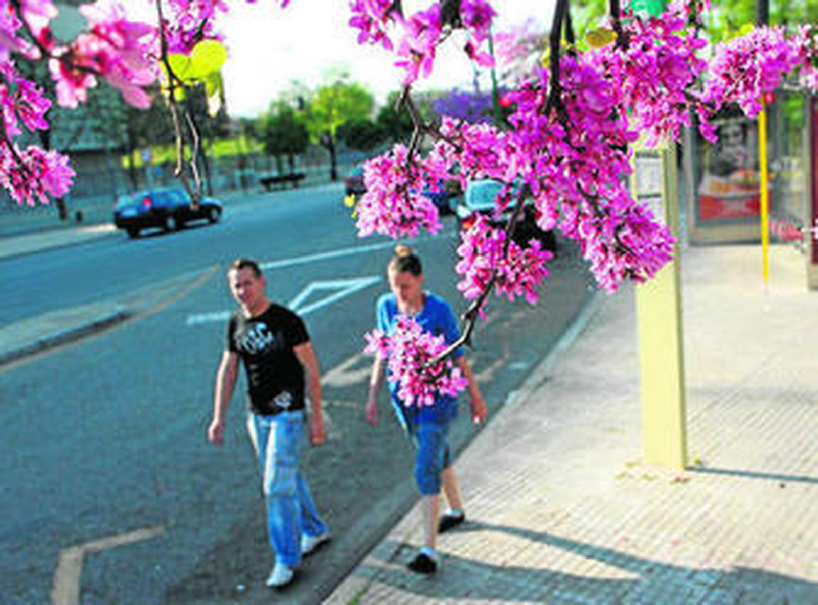 La primavera se presenta dura con altas concentraciones de pólenes.
