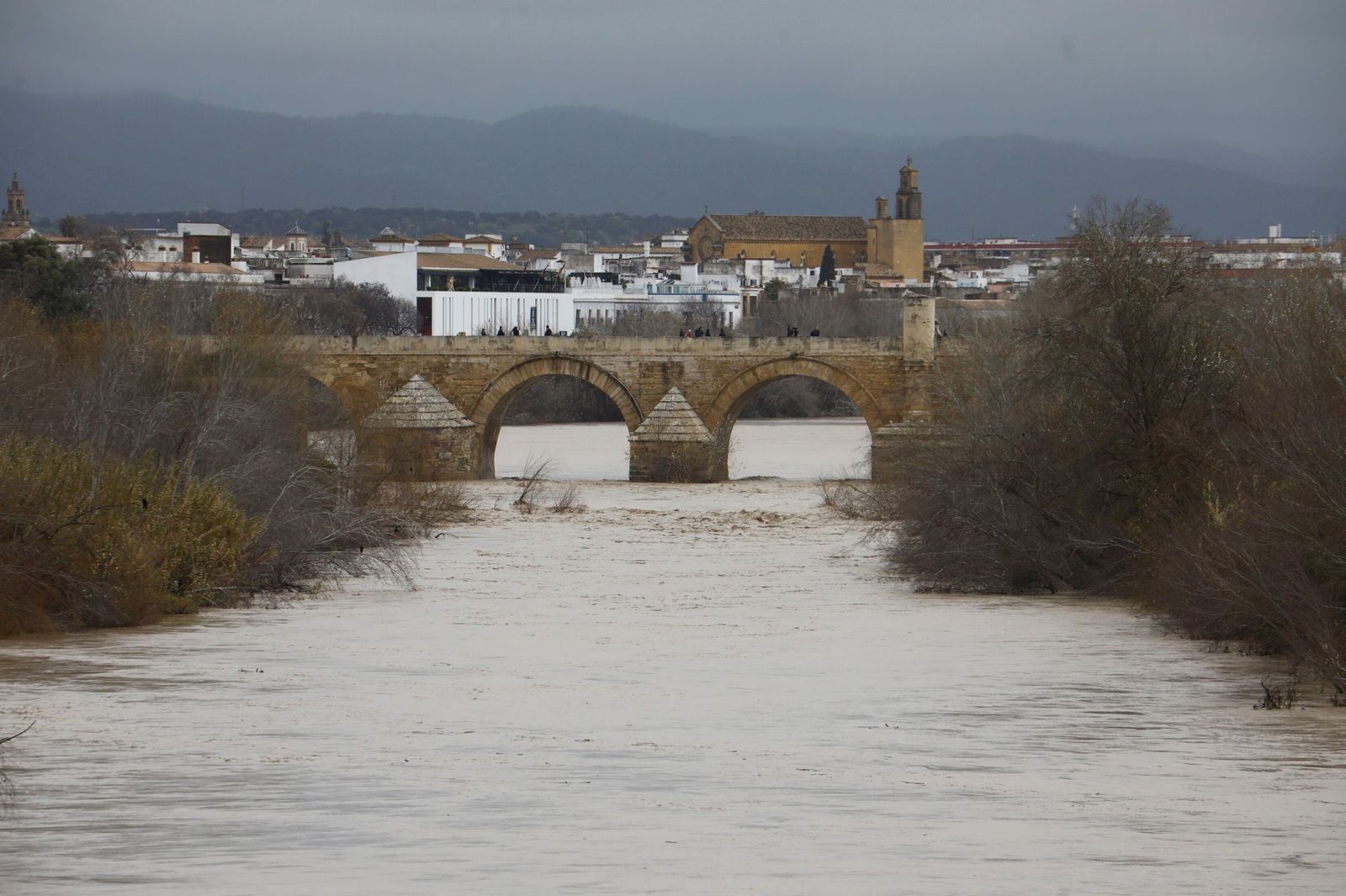 El río Guadalquivir a su paso por Córdoba tras la borrasca Kristin