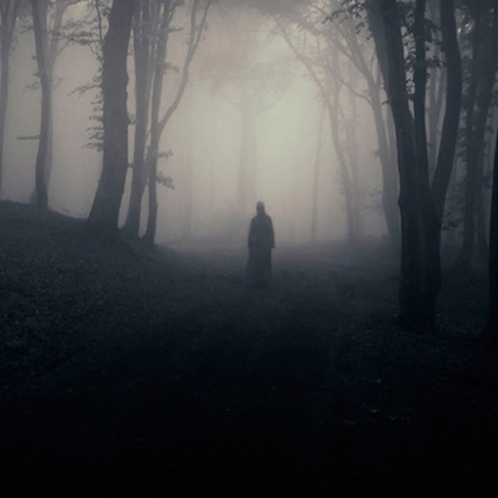 Un sendero terrorífico en Posadas