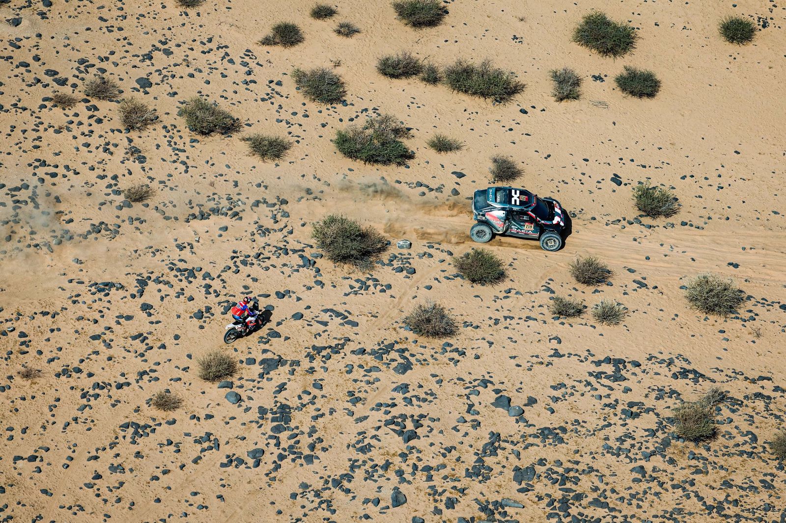 Las mejores fotos del Rally Dakar | undécima etapa