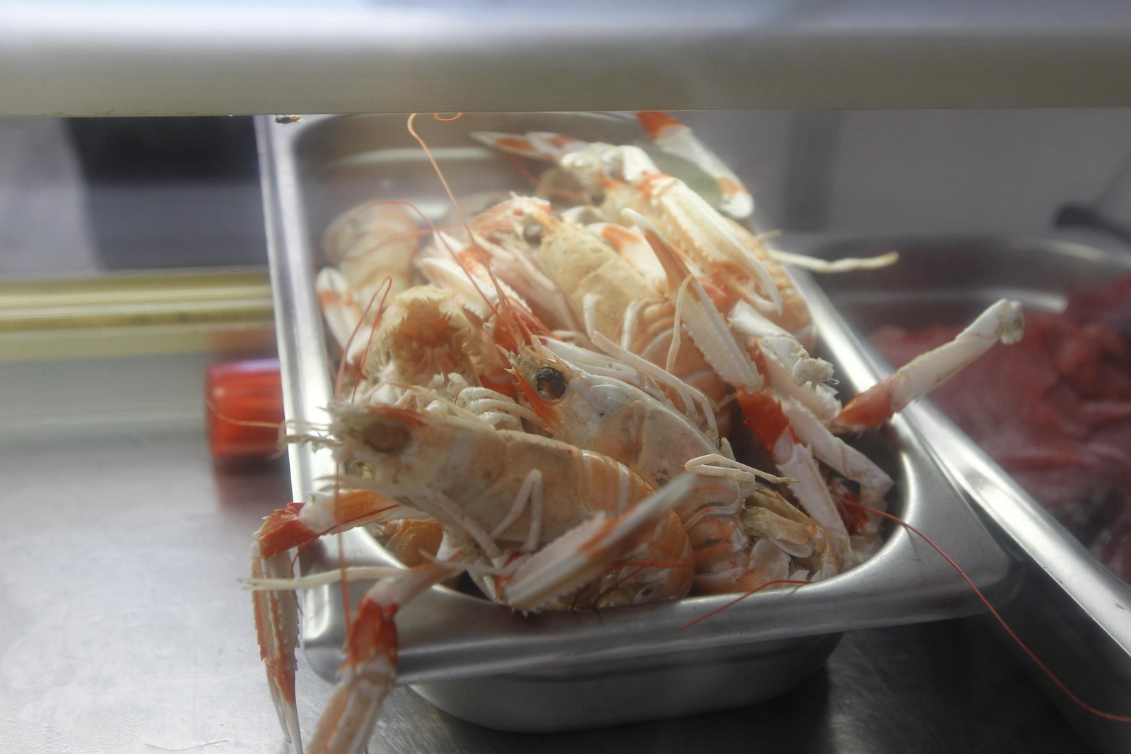 Fotogalería Feria de la Gamba Roja. Garrucha