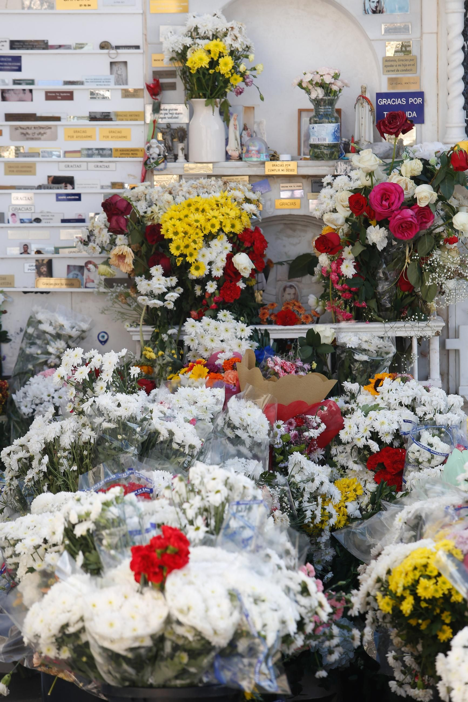El Día de Todos los Santos en Algeciras, en imágenes