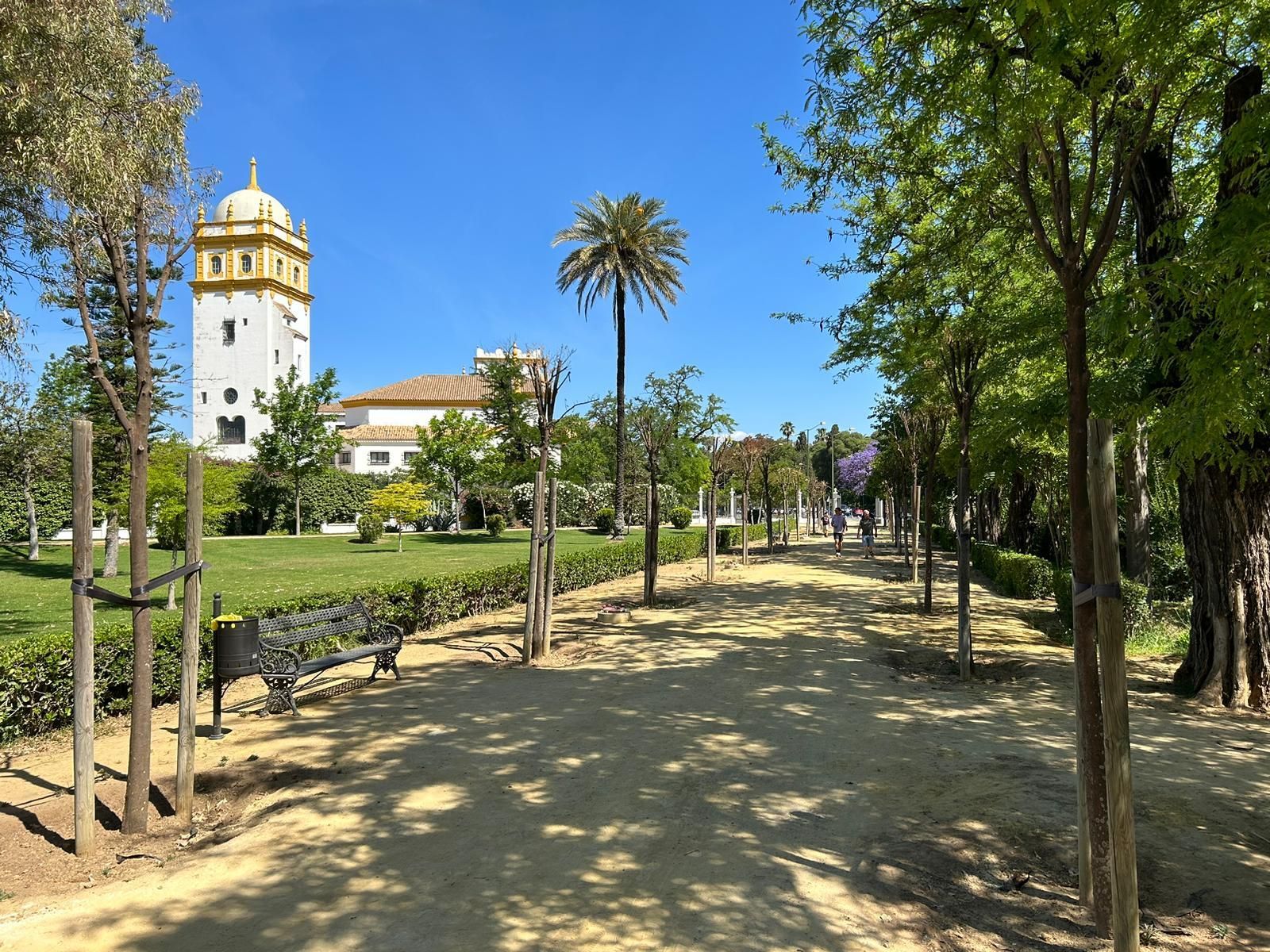 Solo ocho naranjos sobreviven en los Jardines de las Delicias