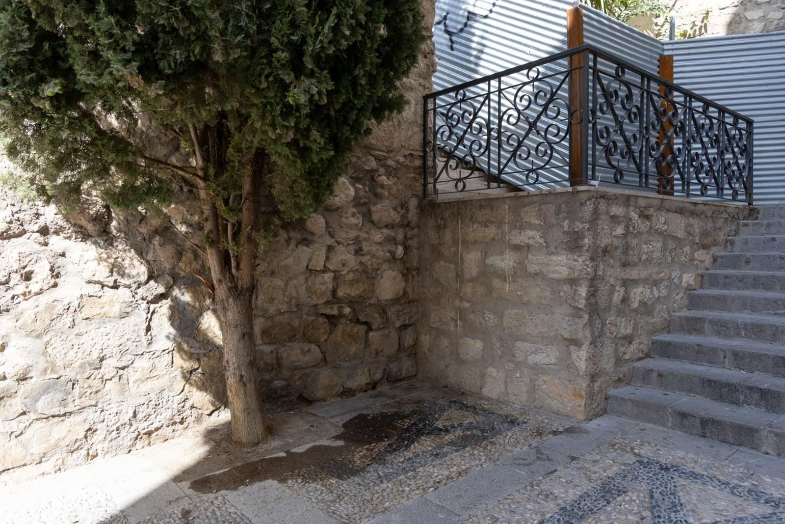 Suciedad y hierbajos toman el entorno de la Catedral de Jaén