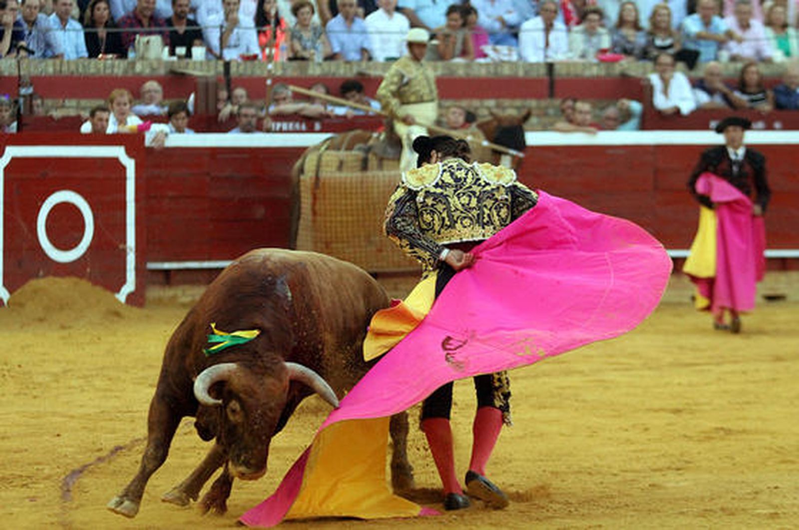 Foto: Alberto Domínguez