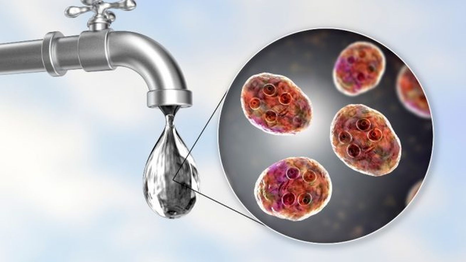 Agua contagiada con giardia