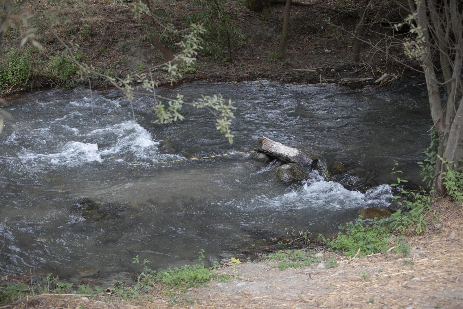Ruta del Colesterol en Granada: cauces de los ríos Genil y Monachil