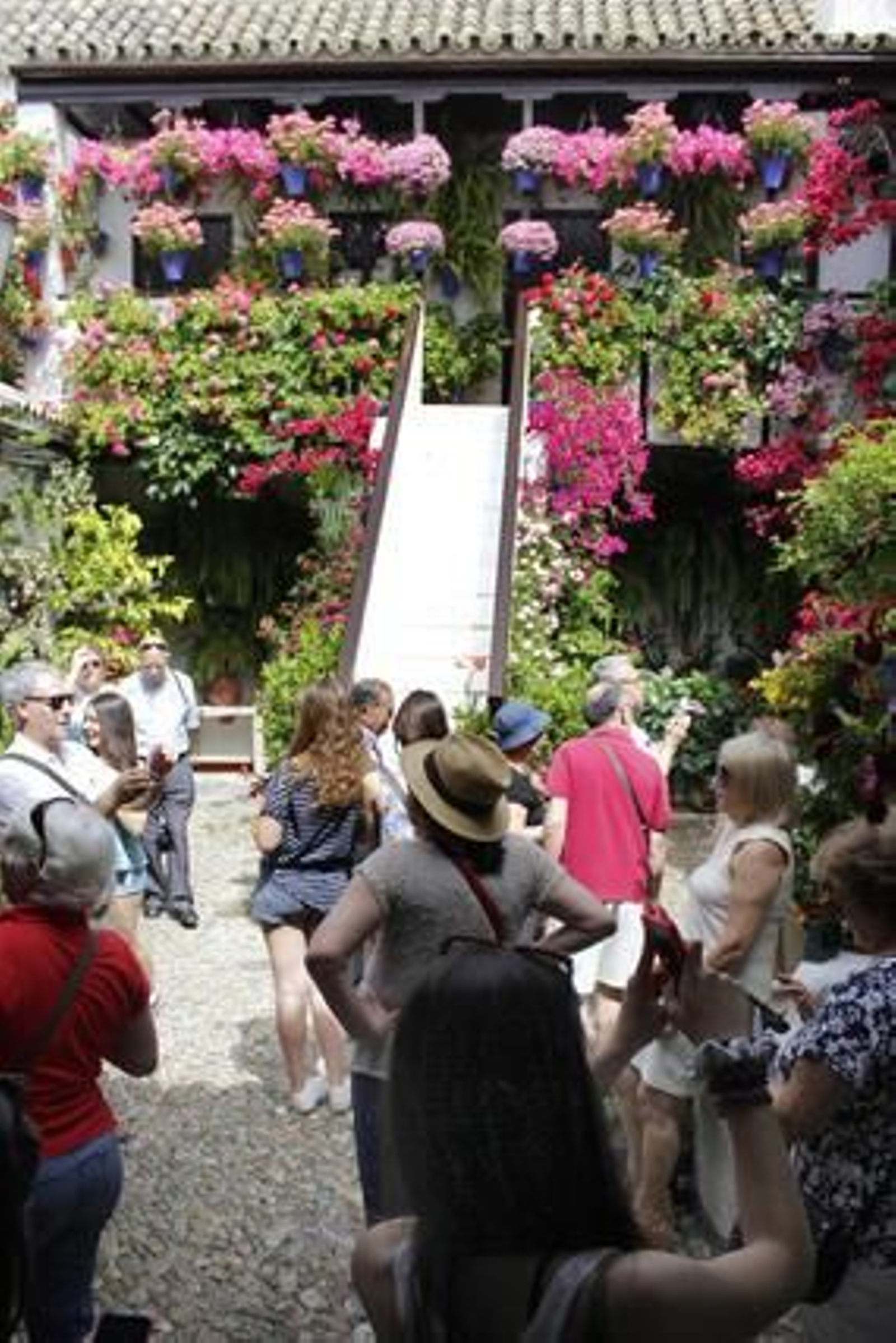 Foto: Alex Gallegos / Macarena Gassin