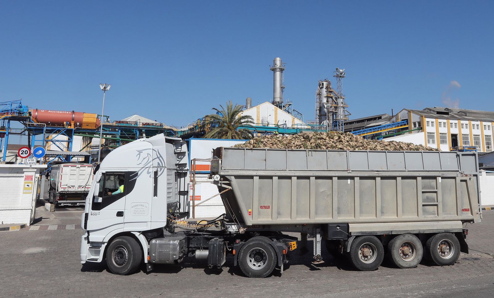 Un camión de remolacha entra en una planta azucarera en Jerez, en junio pasado.