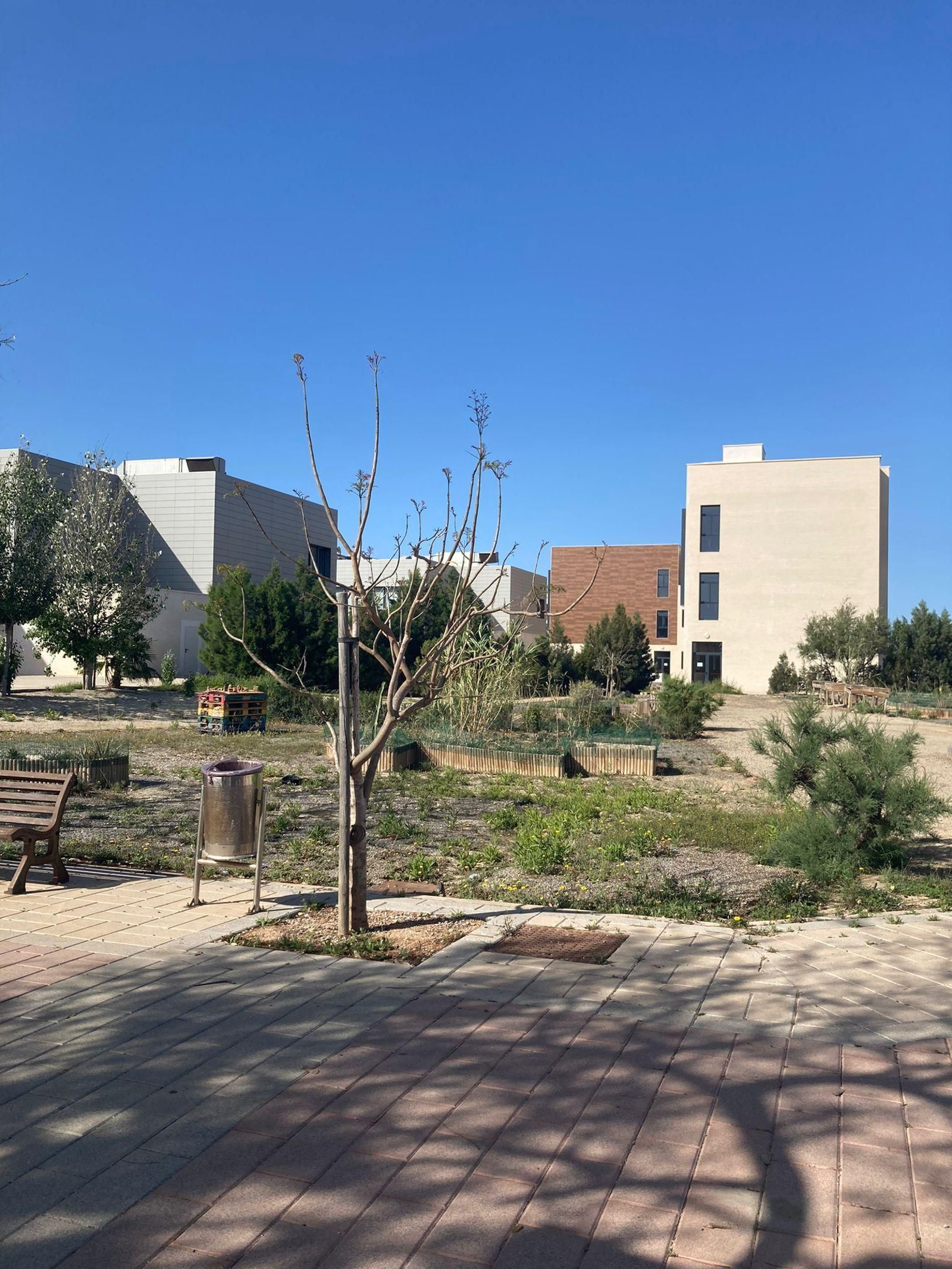 Solar, en la parte norte del campus de la UAL, donde está pensada la construcción del Hospital Simulado, junto a la Facultad de Ciencias de la Salud