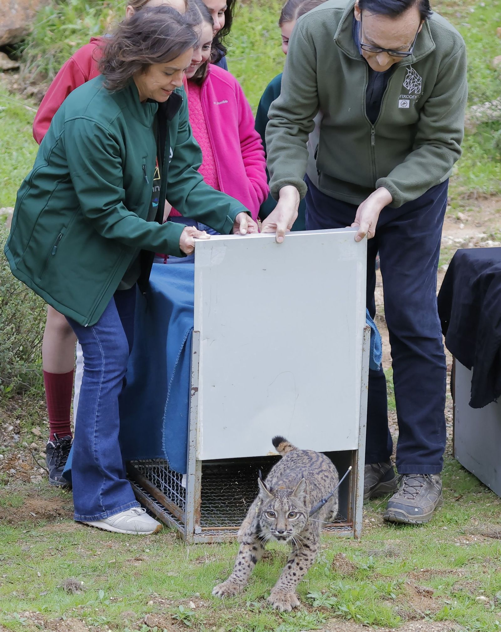 Wando y Wadala liberados en Lora del Rio