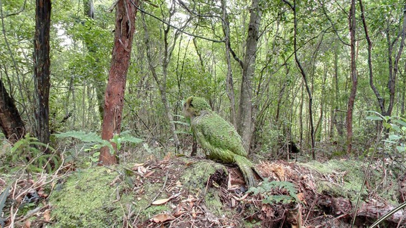 15 imágenes favoritas de Street View