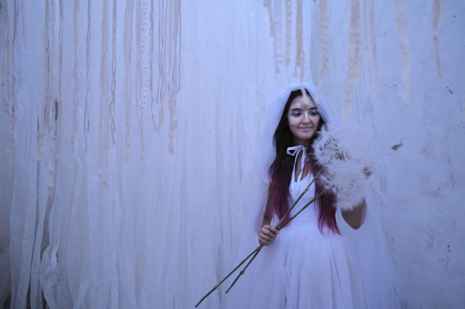 El 'Bosque encantado' de Parauta, en fotos.