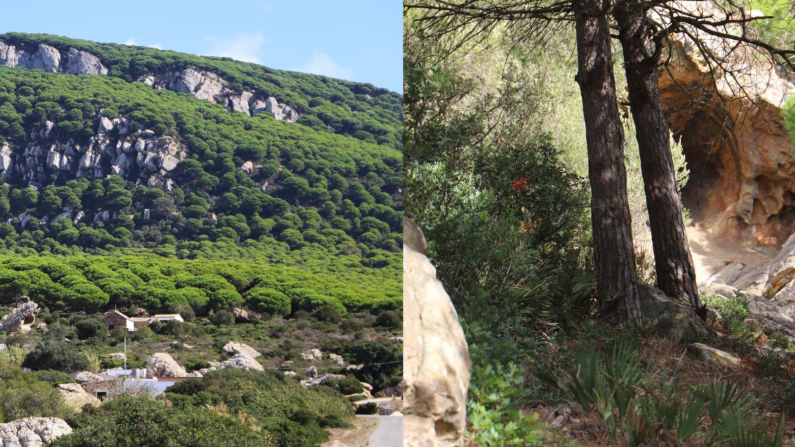 Abrigo rupestre del Chaparral I.