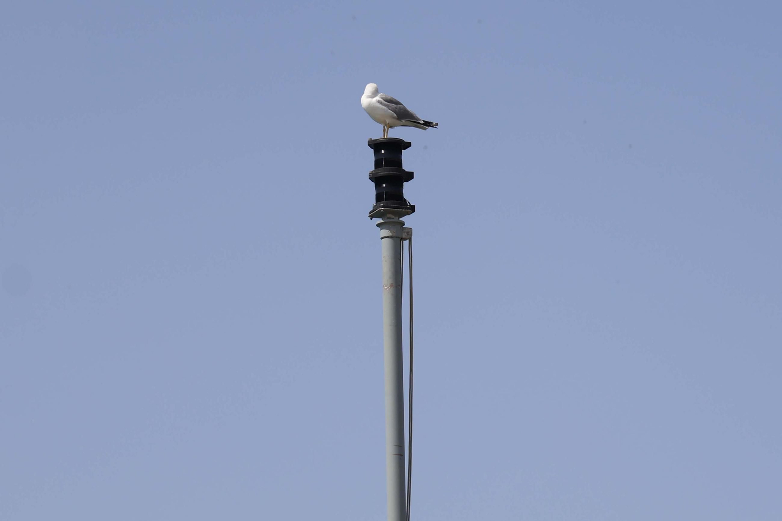 Las fotografías de la visita del buque de la Armada "Furor" al Puerto de Algeciras