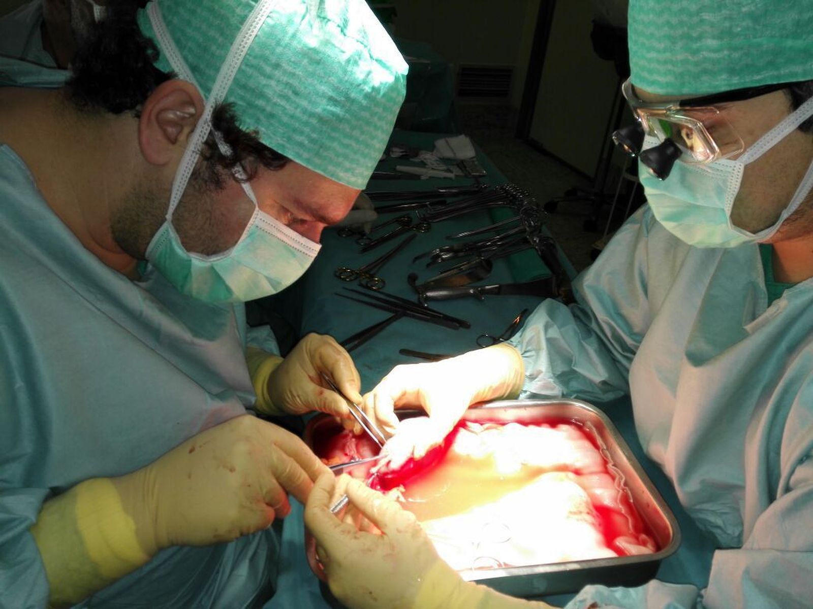 Dos de los miembros del equipo del Regional durante el trasplante.