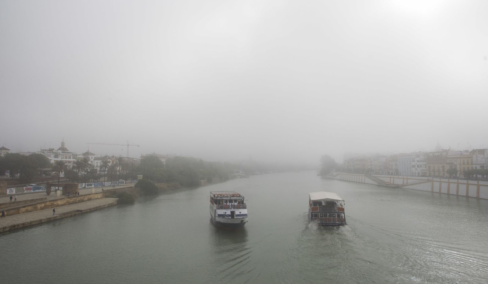 Mañana con niebla en Sevilla