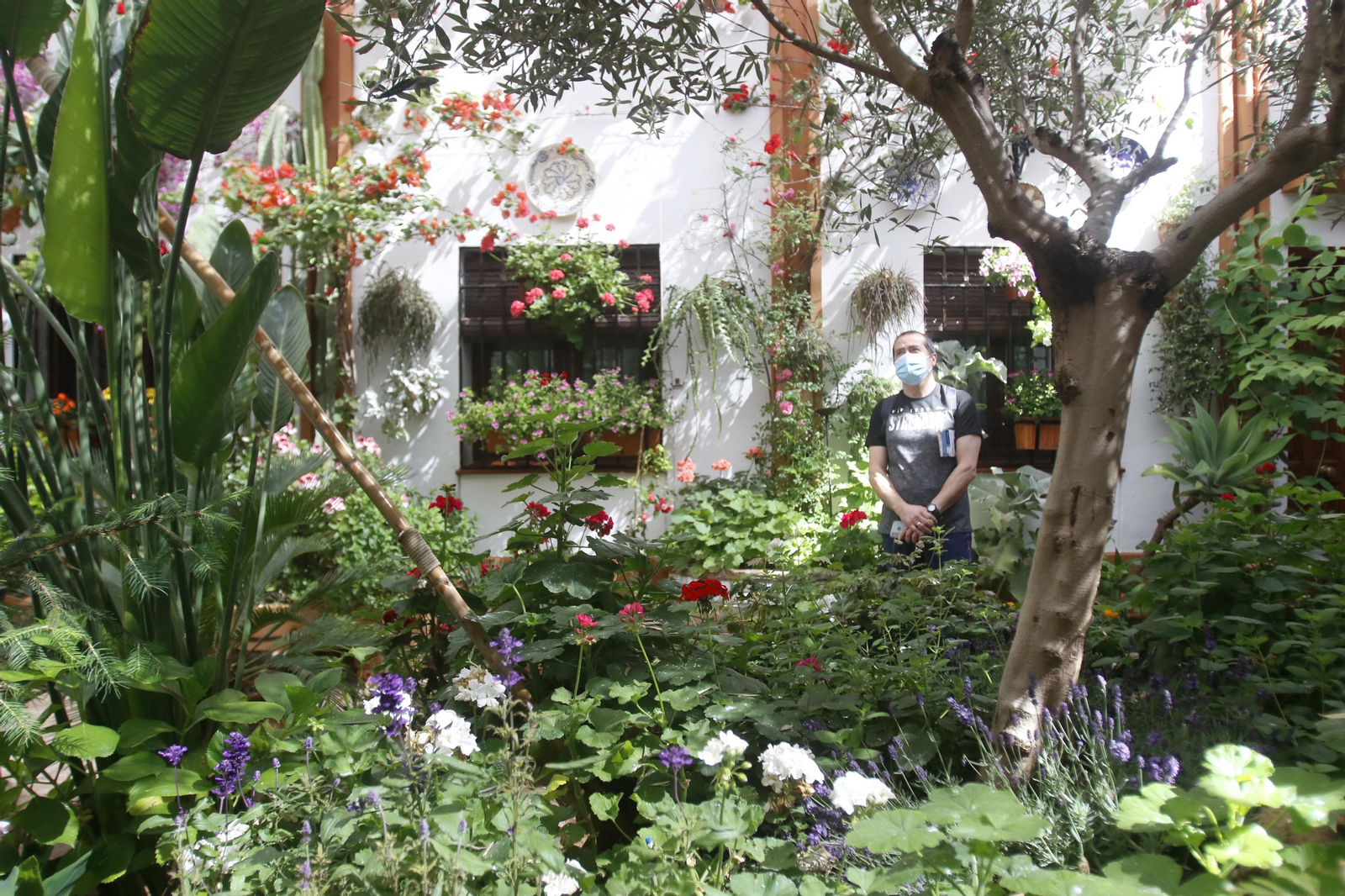 Ruta Santa Marina - San Agustín de los Patios de Córdoba, en imágenes