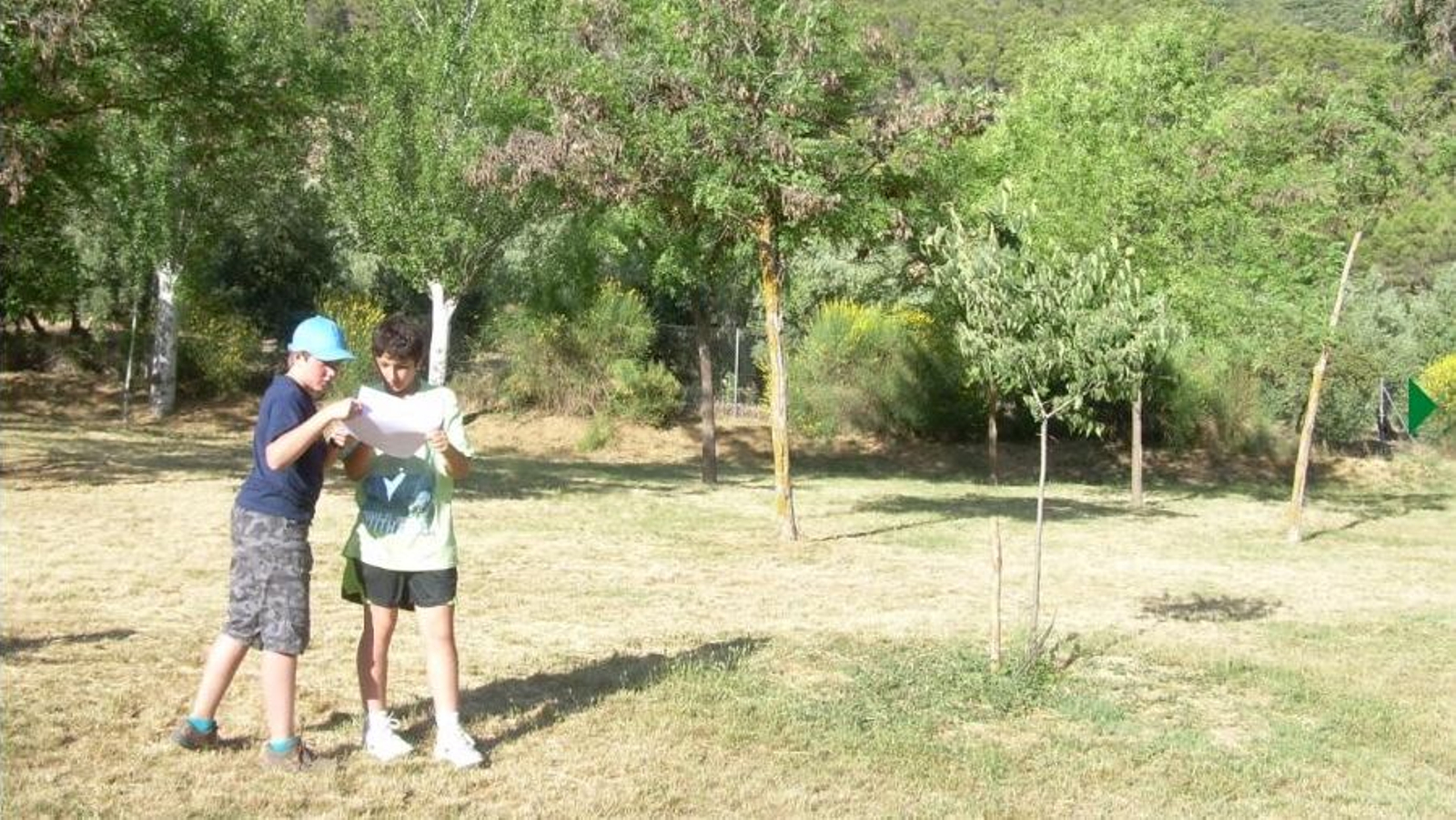 Niños, jóvenes y adultos disfrutan de estas actividad multiaventura en plena Sierra Mágina.