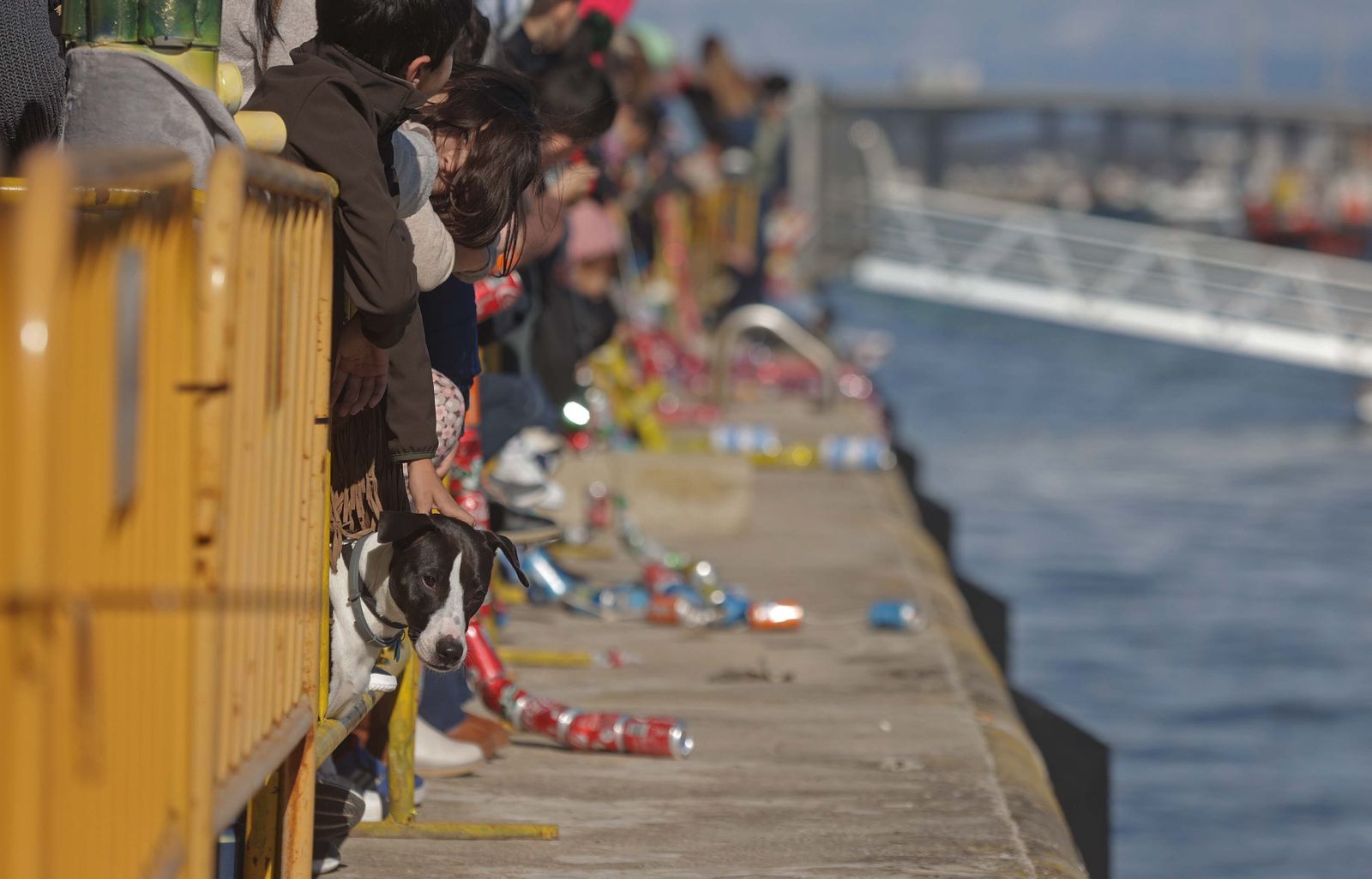 Fotos del arrastre de latas en Algeciras