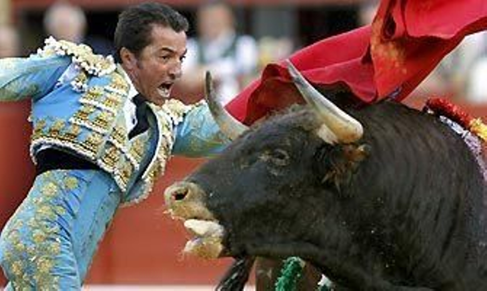 Sin novedad en la despedida de El Fundi de Sevilla