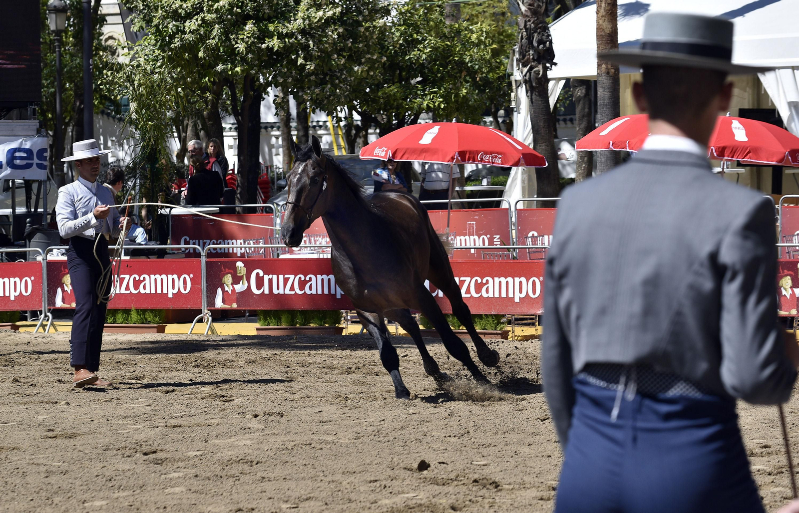 I edición del Concurso Morfológico de Pura Raza Española en el Prado.