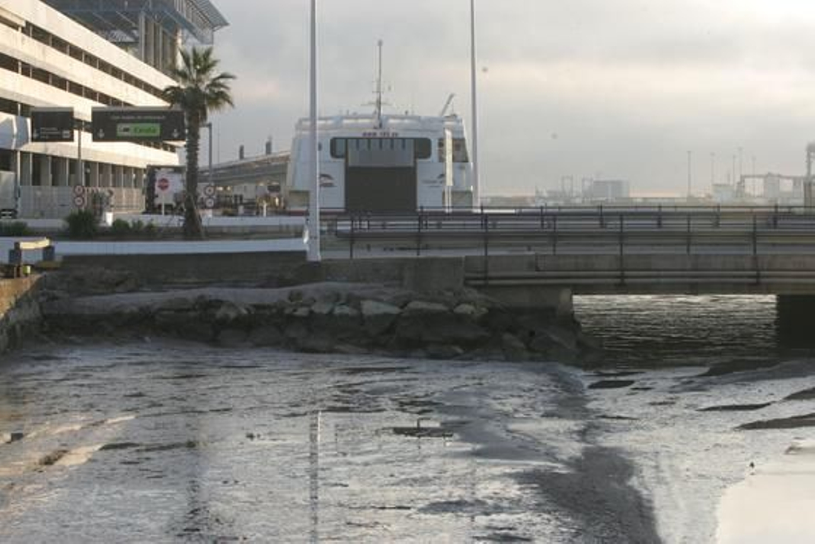 La marea histórica se vivió en las playas del Campo de Gibraltar con mucha espectación, sobre todo en la de Poniente de La Línea y El Rinconcillo de Algeciras./Fotos:Paco Guerrero/Shus Terán/J.M.Quiñones

Foto: Paco Guerrero/J.M.Q./Shus Teran/