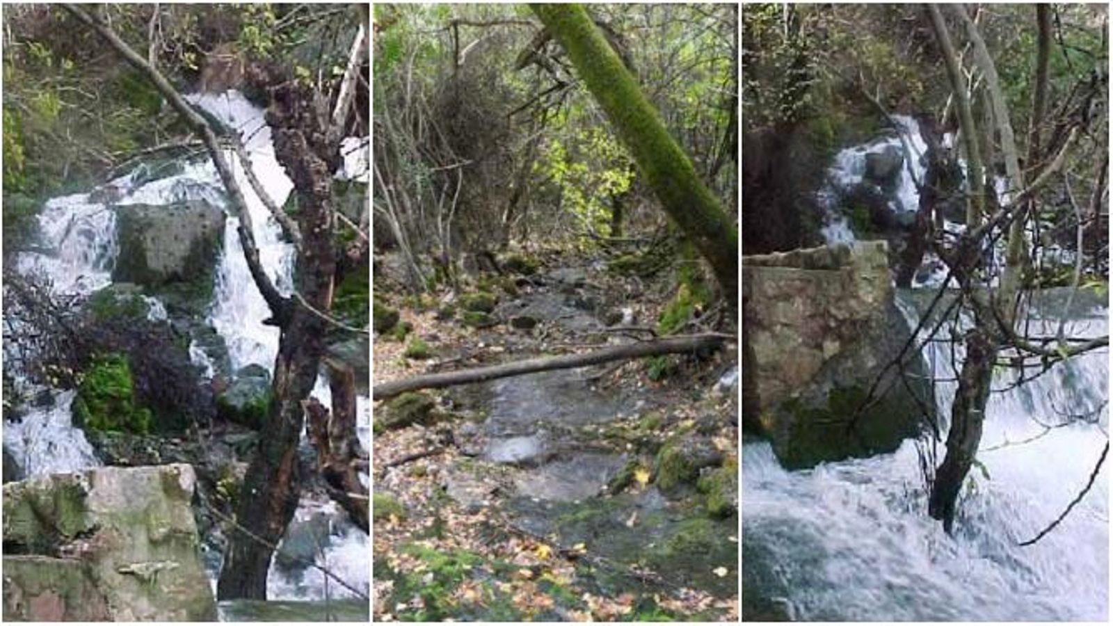 Alguno de los puntos de trayecto hacia el Nacimiento de las Artezuelas.