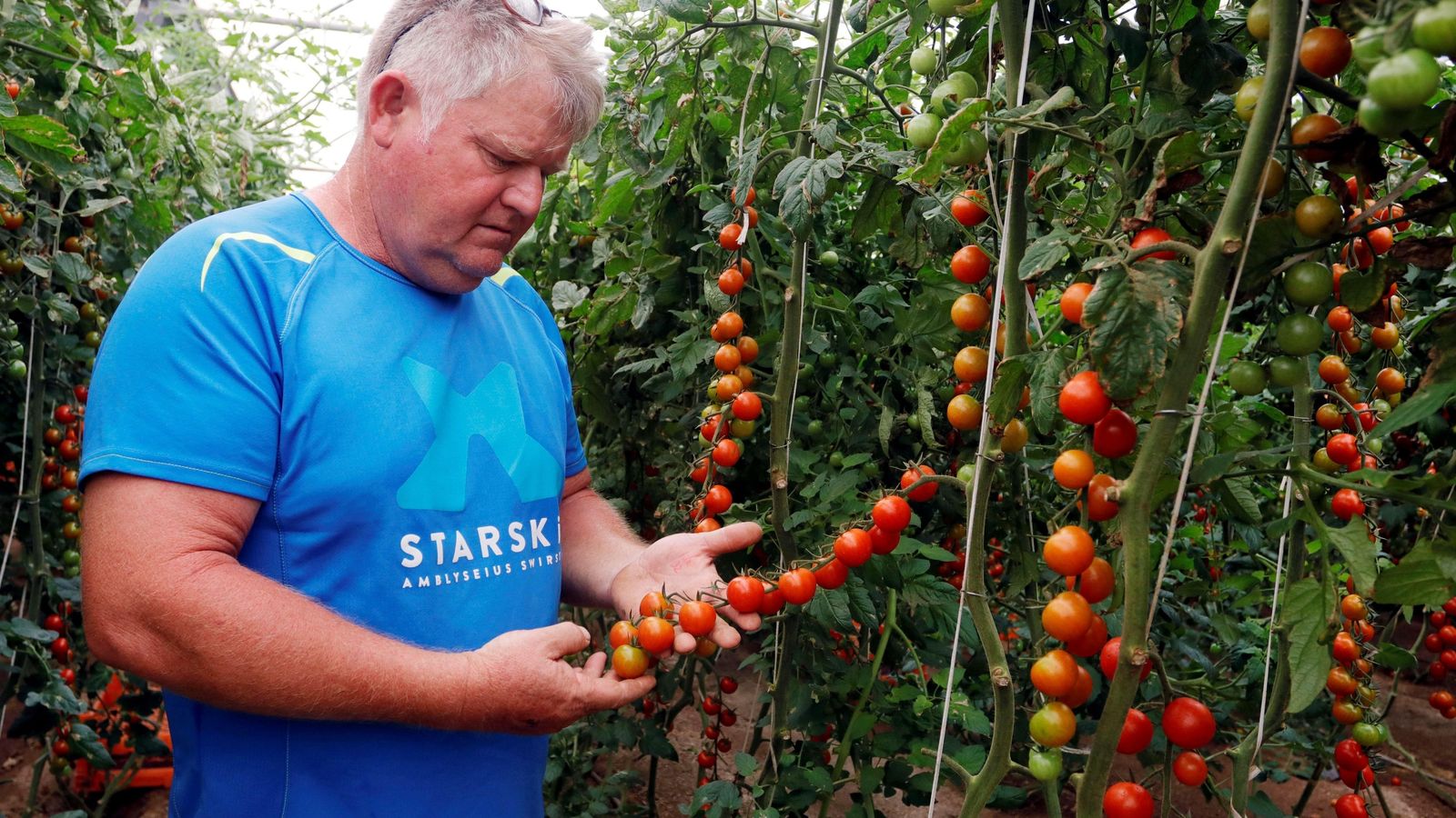 Diego Gómez, agricultor de Campohermoso (Níjar).