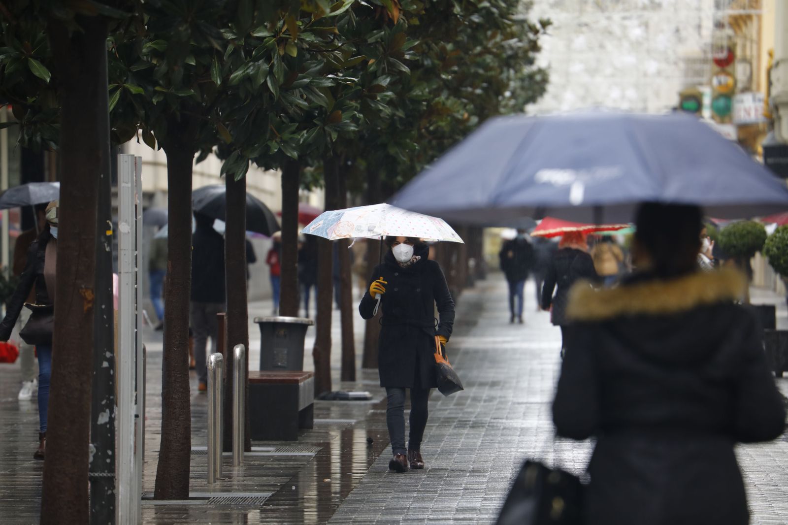 Las fotografías del paso de la borrasca Filomena por Córdoba