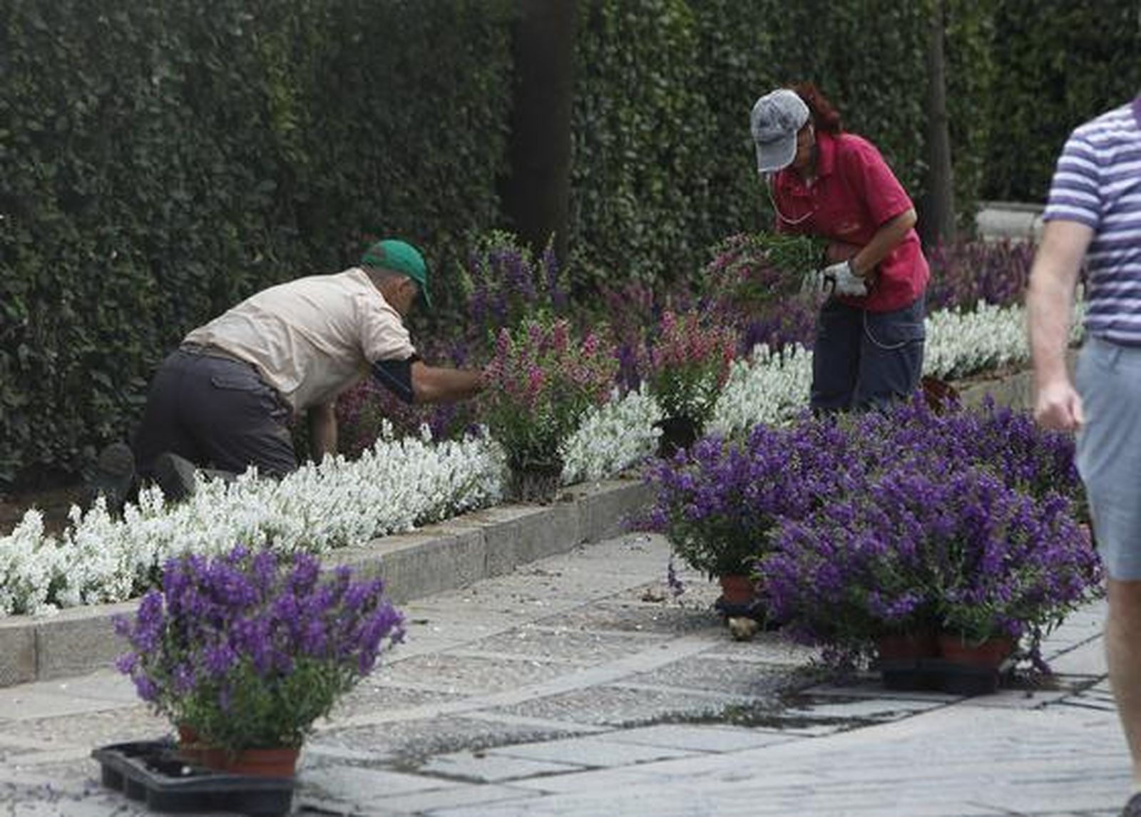 Foto: Juan Carlos Vázquez