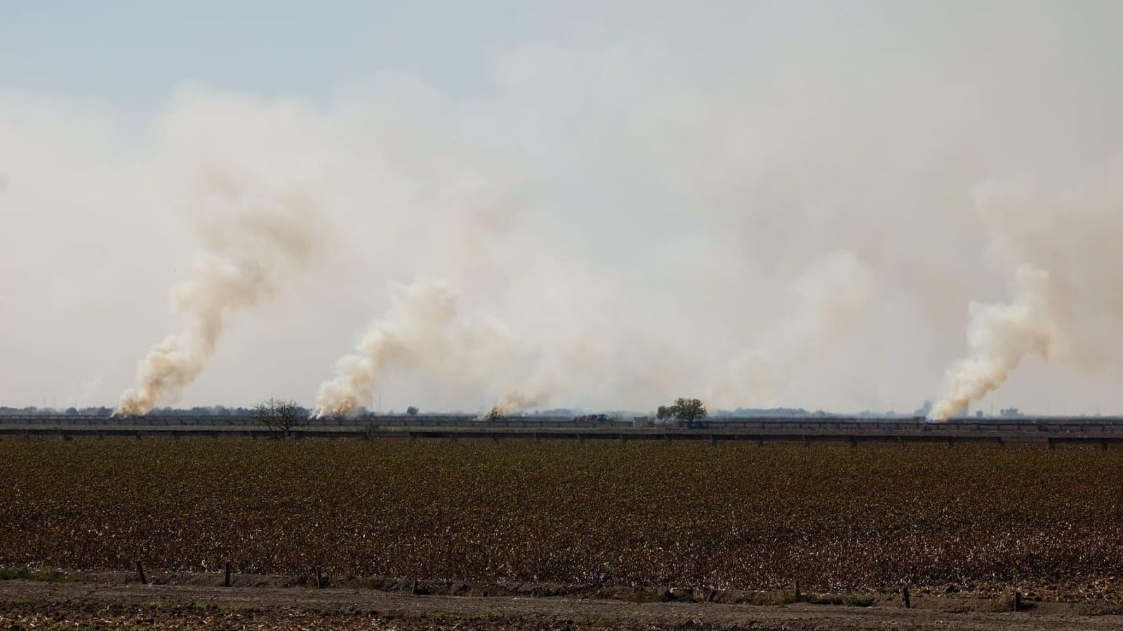 Quema de rastrojos en un campo de algodón.