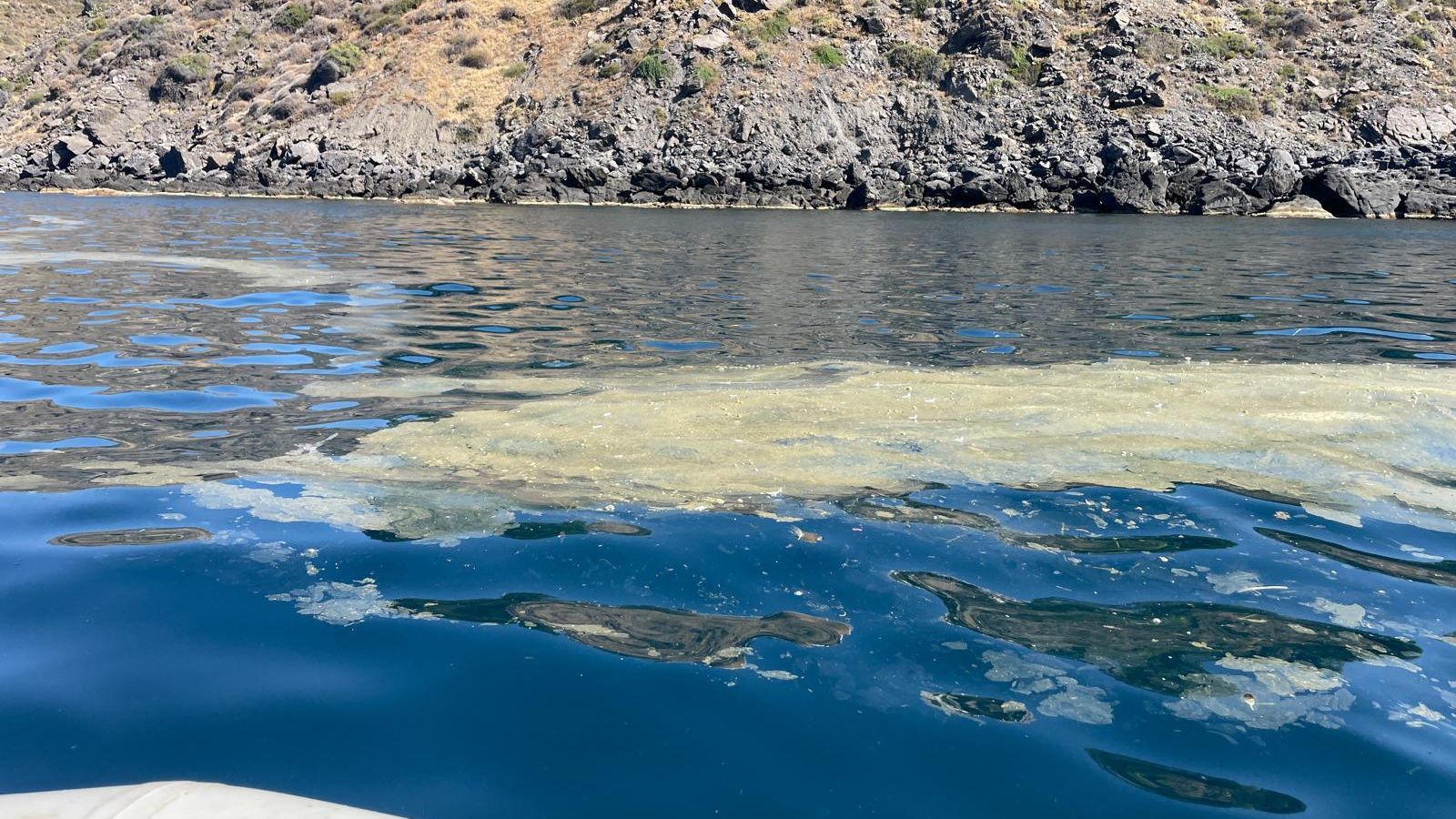 Machas flotantes en el agua en una playa de Granada