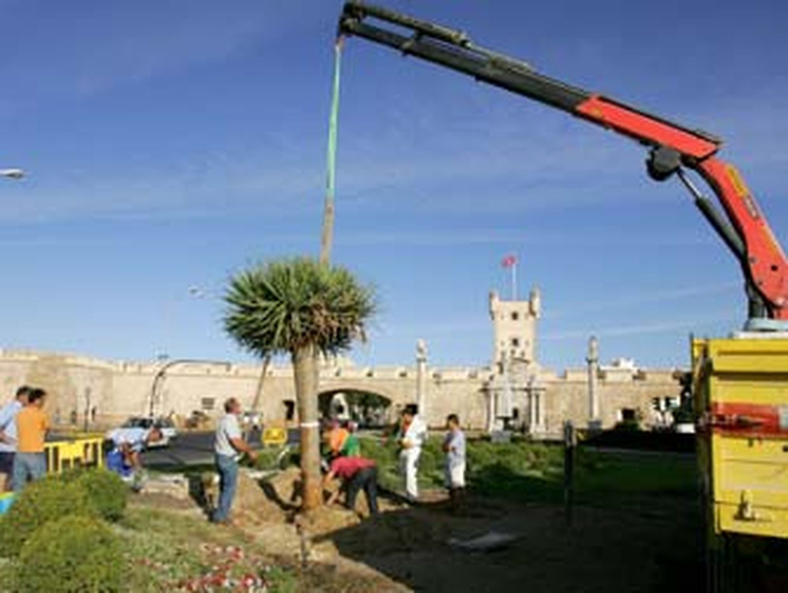 El sustituto del drago ya está en las Puertas de Tierra