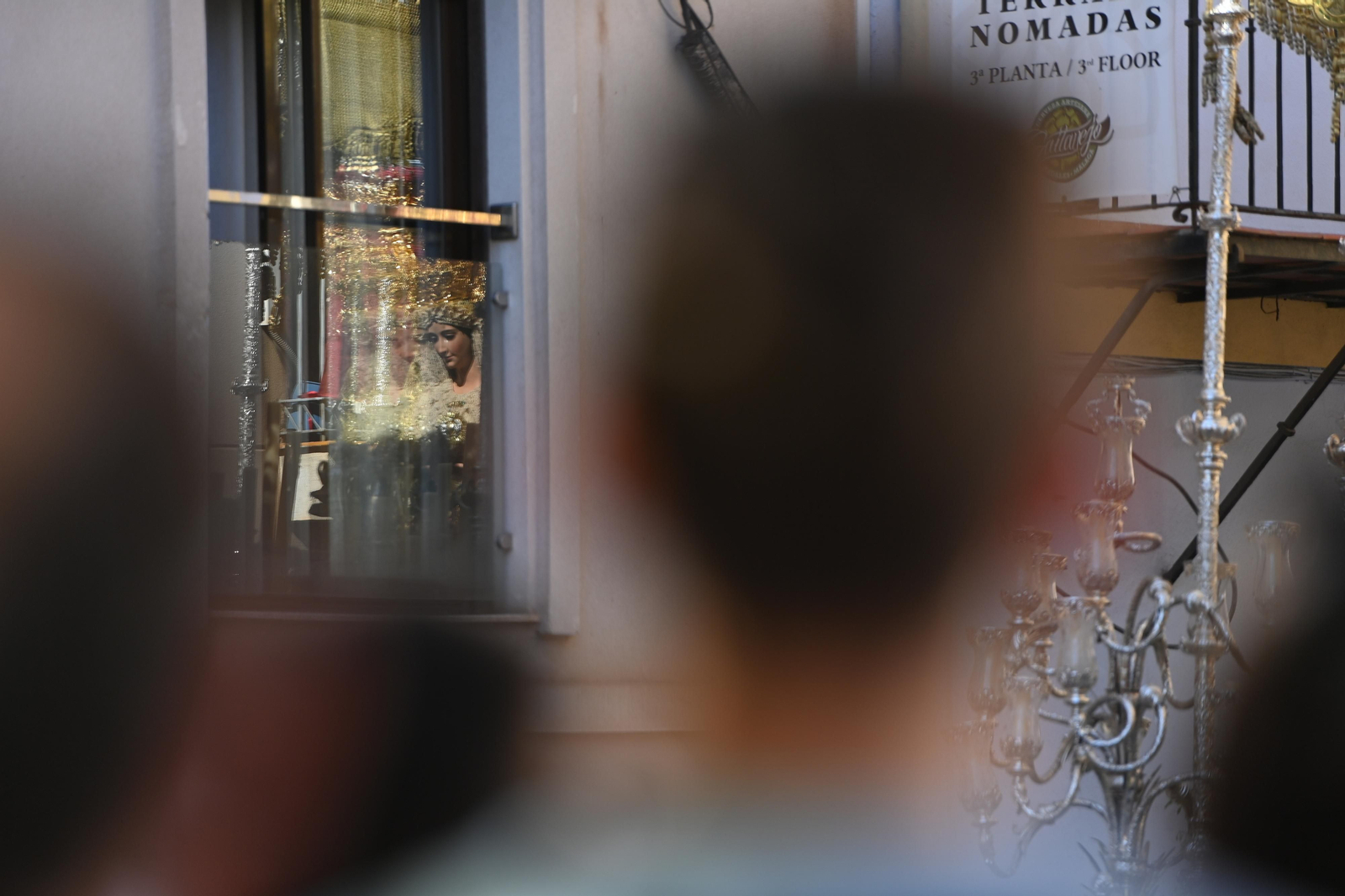Las fotos de Pollinica en su procesión del Domingo de Ramos en Málaga