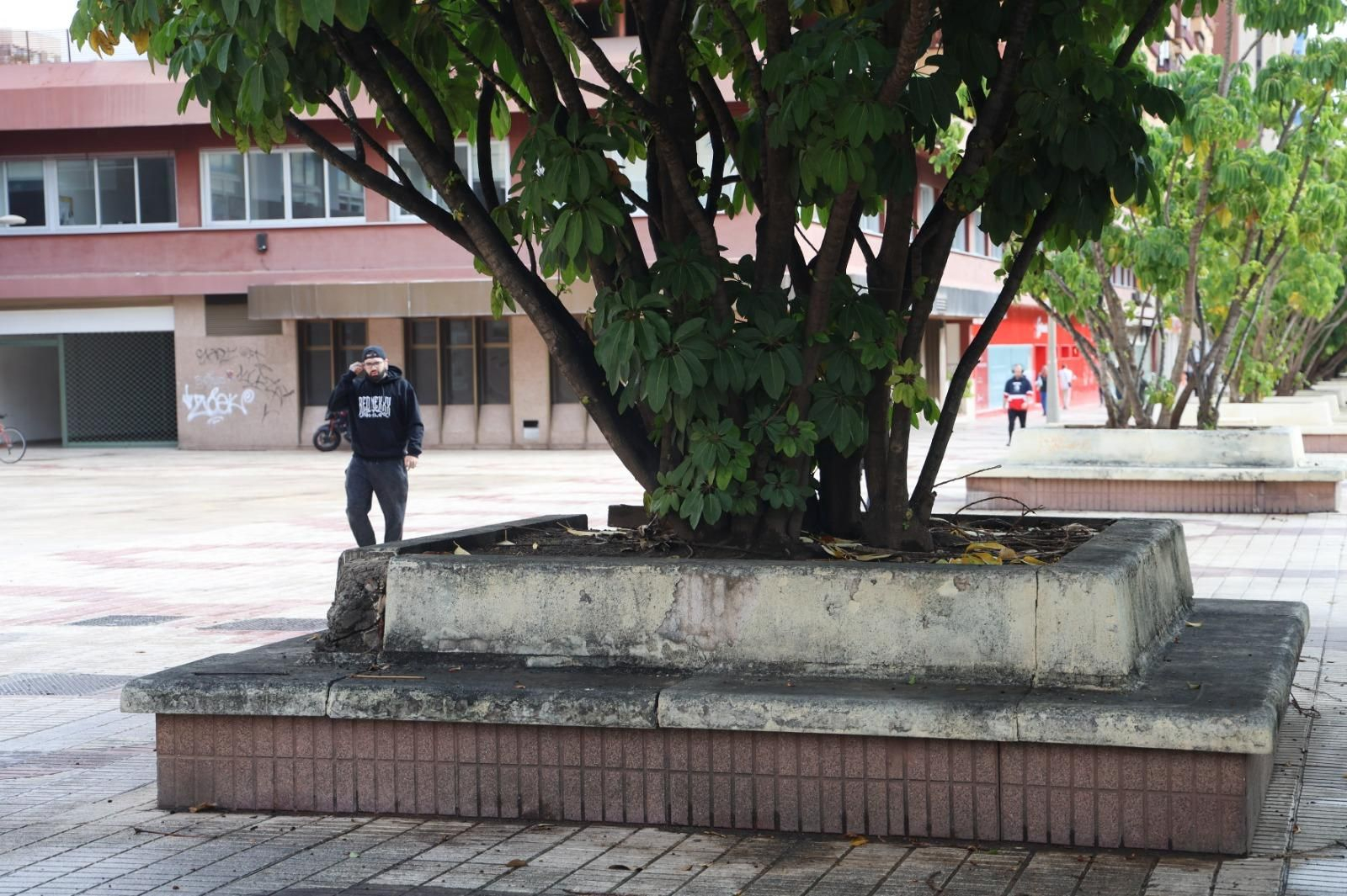 Así están los bancos de la Avenida de Andalucía