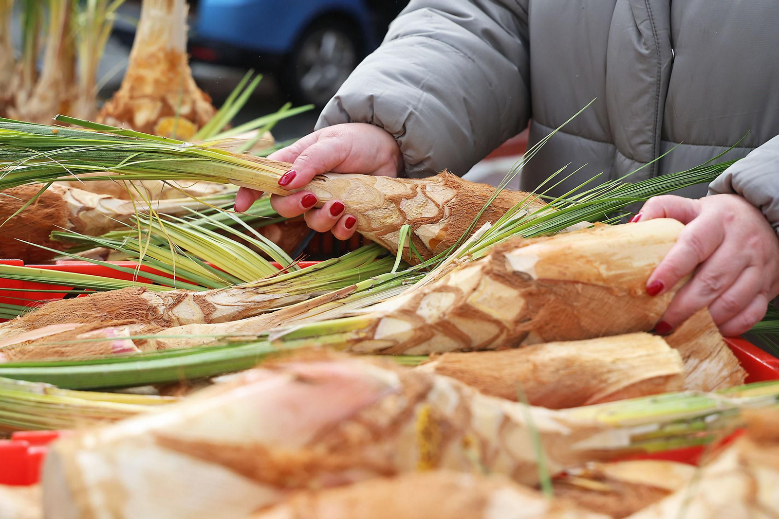 Palmitos en Huelva por San Sebastián