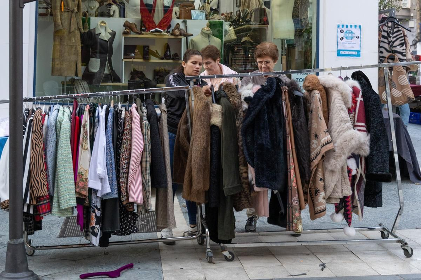 Nueva edición del Día del Stock en Jaén, en imágenes