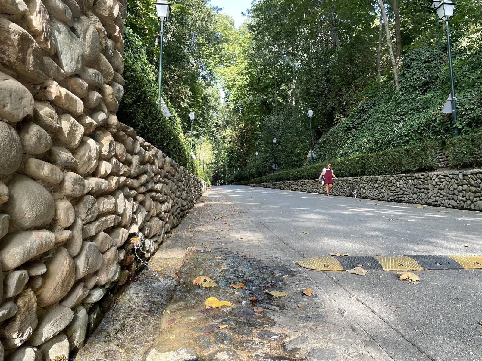 El agua acompaña todo el camino