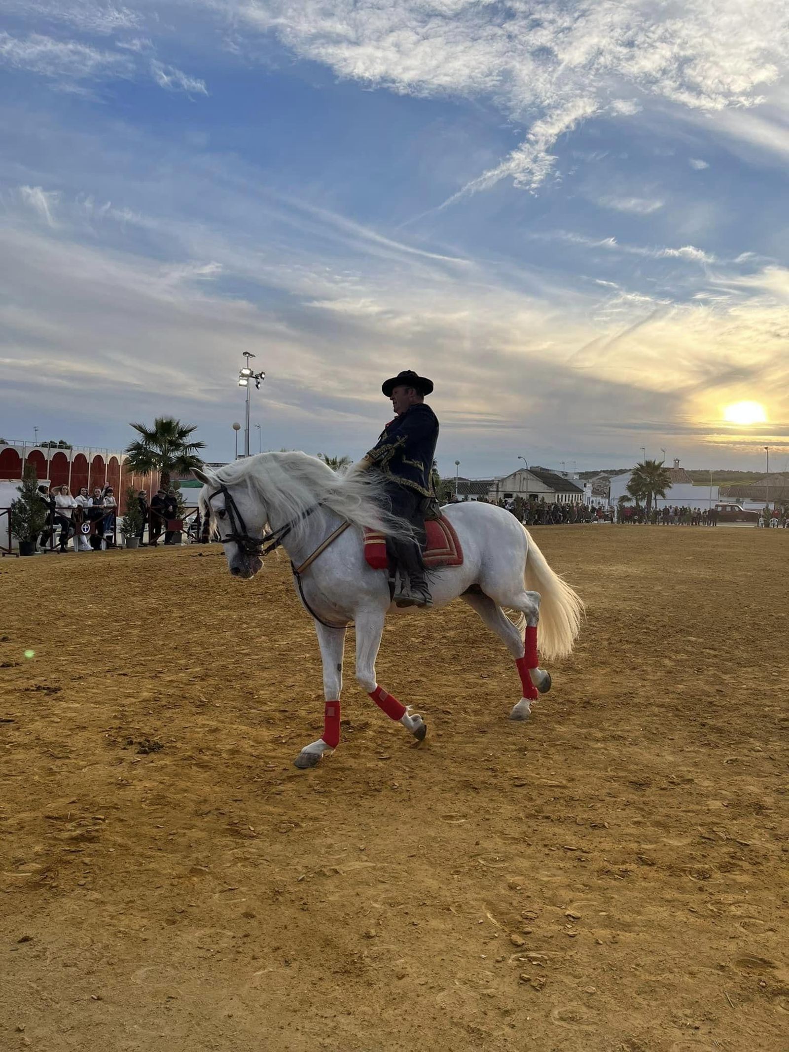 La exhibición ecuestre Caballos de Nuestra Tierra de Bujalance, en imágenes