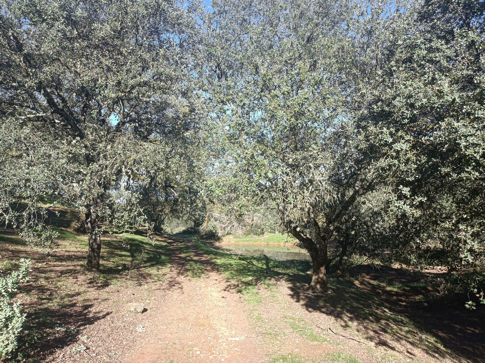 La vegetación es más densa en esta zona, pero mucho más hermosa.