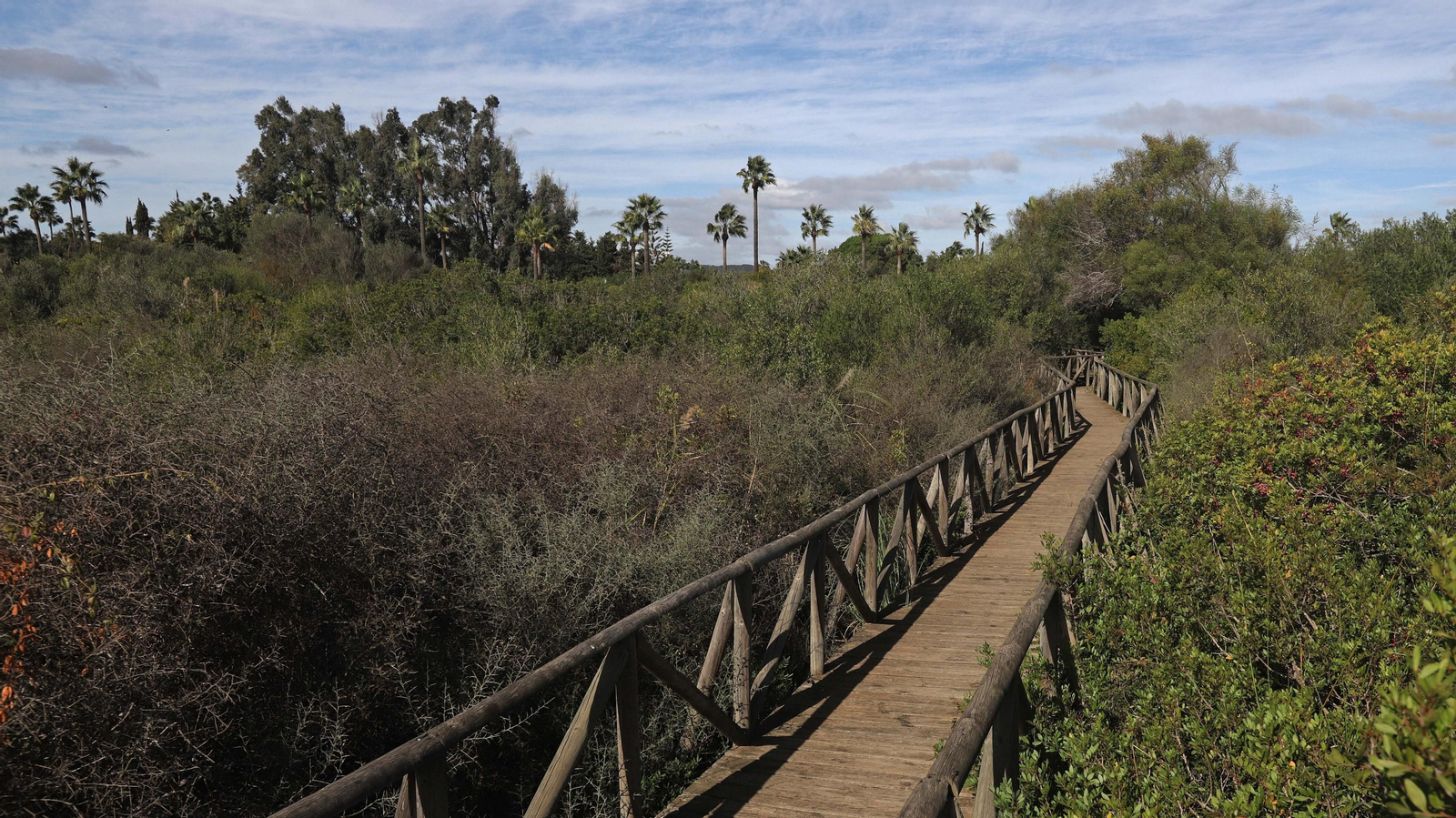 Fotos del estuario del río Guadiaro en San Roque