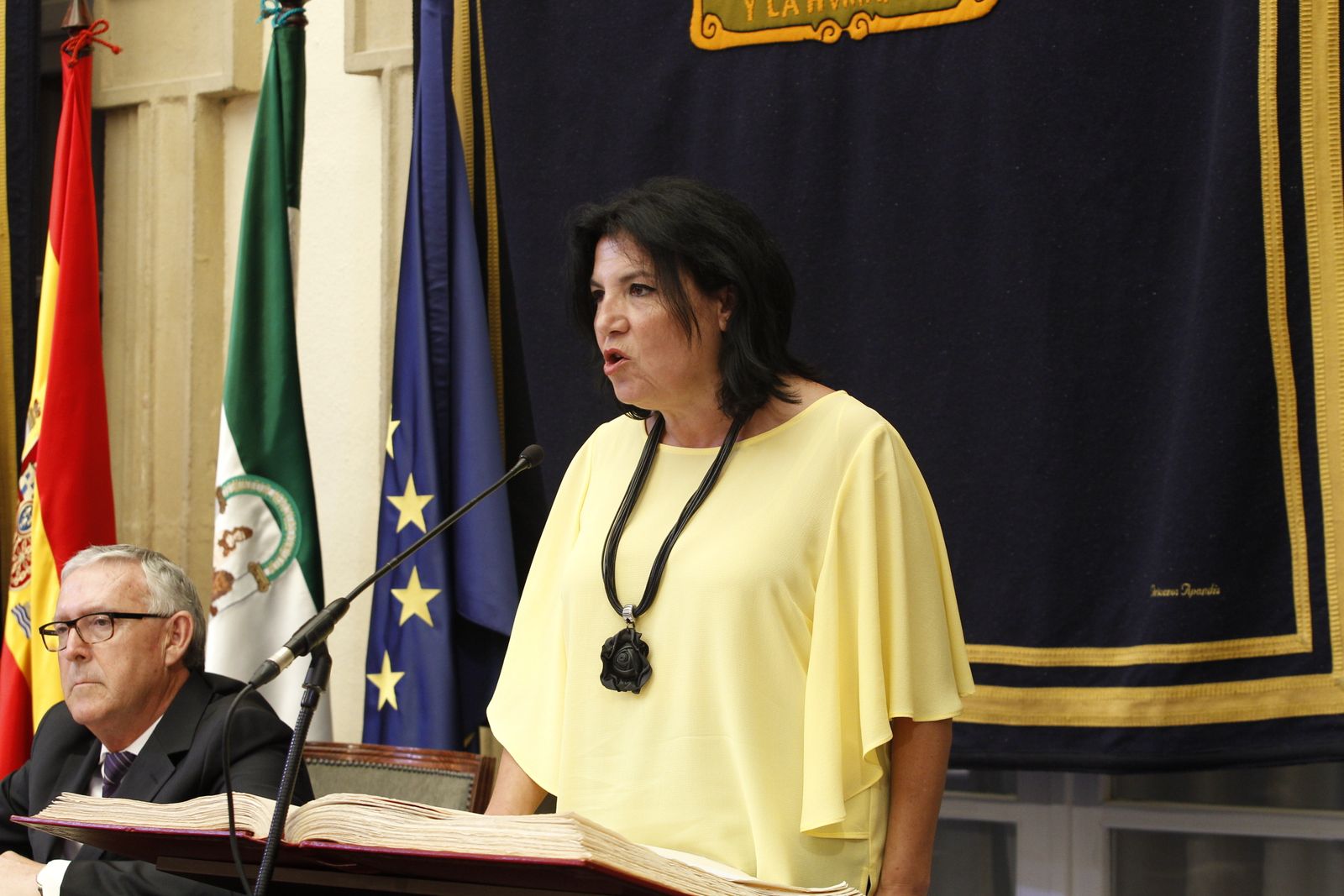 Pleno investidura Presidente Diputación de Almería. Javier Aureliano García