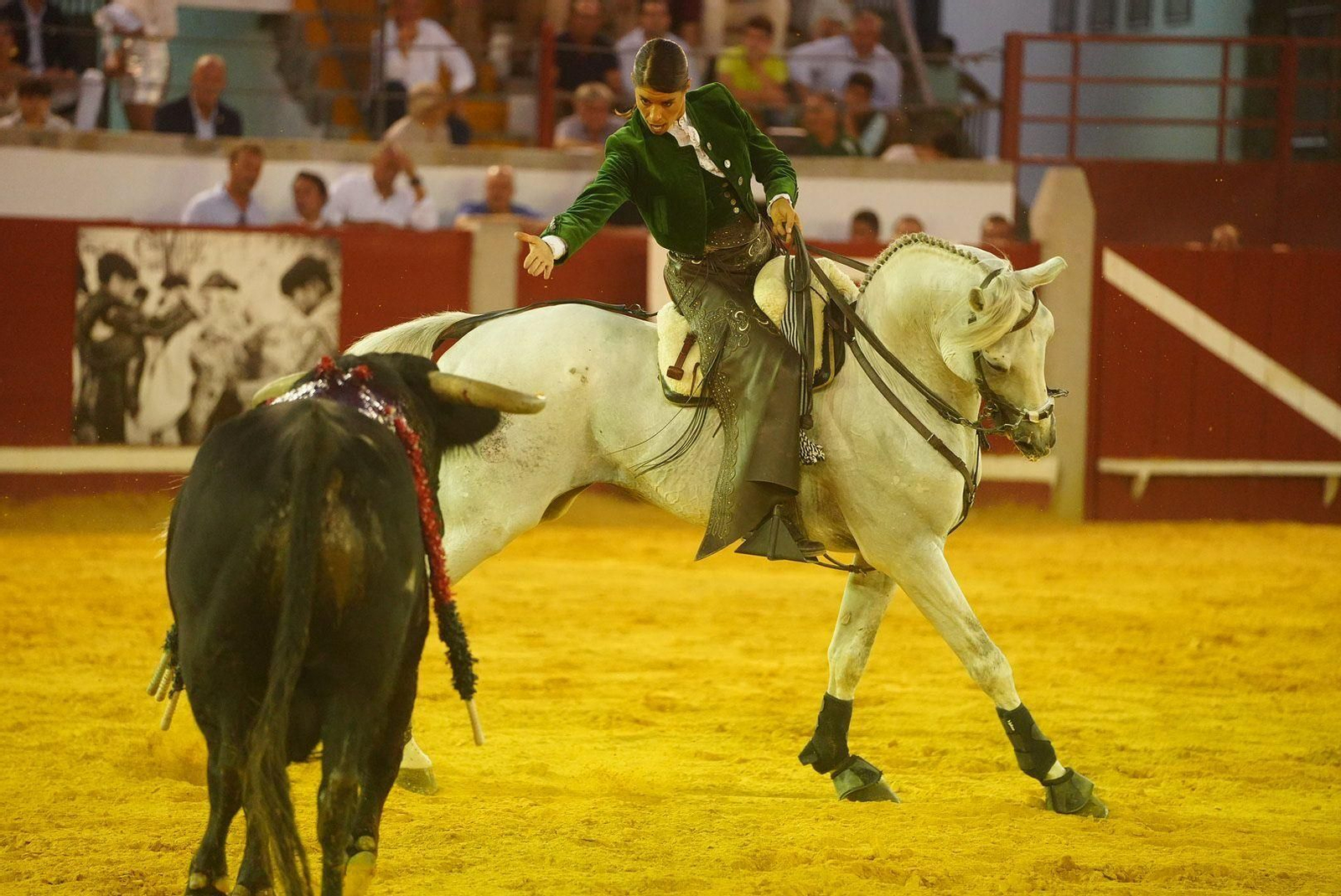 Las mejores fotos de la faena triunfal de Andy Cartagena, Leonardo y Lea Vicens en Pozoblanco Las mejores fotos de la faena triunfal de Andy Cartagena, Leonardo y Lea Vicens en Pozoblanco