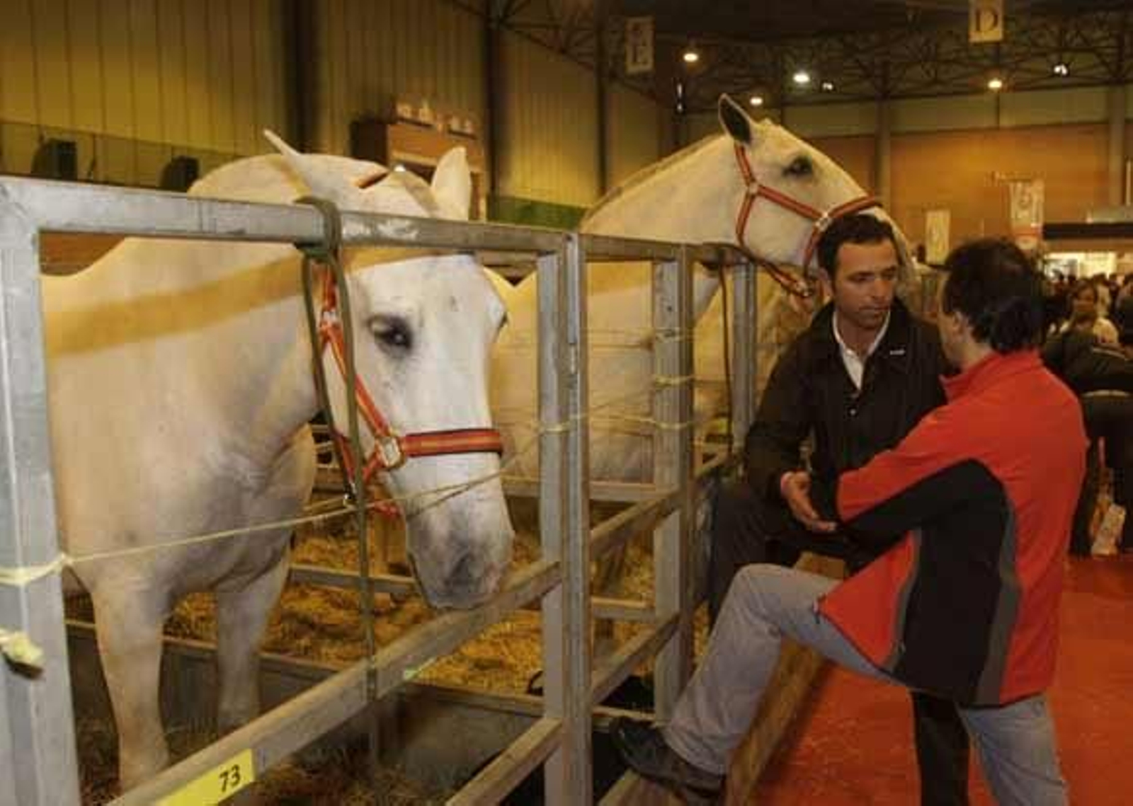 La hermana de Michael Jackson ha compartido espacio en el Sicab con otros famosos del panorama nacional tales como Cayetana de Alba o Juan Antonio Ruiz 'Espartaco'

Foto: Jose Angel Garcia