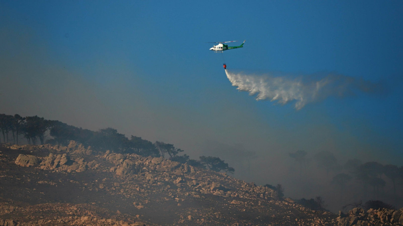 Fotos del incendio forestal en Tarifa